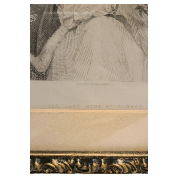 Vintage Last Rose Of Summer Lady Framed Engraving‎ Thomas Moore Poet 11 1/2" - Picture 2 of 8